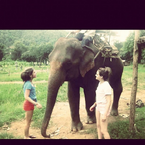 Aimee Kelly's Instagram: "Elephant!!! #hellothere #changmai #southeastasia #traveling"