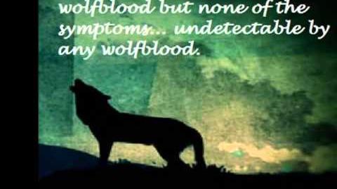 Wolfblood Series 3 Idea