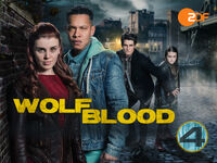 Series 4