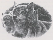 Wolf with his first litter of pups in Oath Breaker