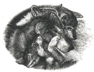 Wolf in Outcast with Snap, Digger, and Growler