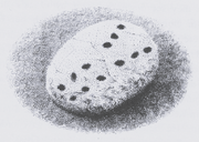 Torak's pebble.CAD-2