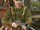 WOLF2009-Wehrmacht officer.png