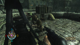 Wolf2 2016-12-24 16-02-06-016