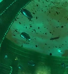 Geist | Wolfenstein Wiki | Fandom