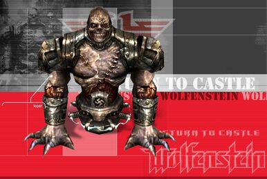 Super Soldier (MachineGames), Wolfenstein Wiki