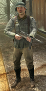 Heer soldier with a field grey uniform