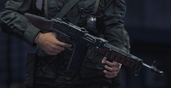 Assault Rifle 1946, Wolfenstein Wiki