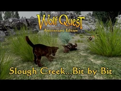 Slough Creek...Bit By Bit posted 12-Nov-2020