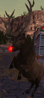 Rudolph the red-nosed bull elk!