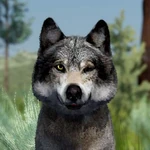 WQ-AE Knowledge-Base Blind-Eye
