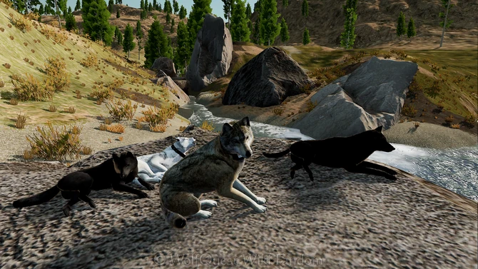 Play offline in single-player, or online in multiplayer!
