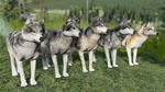 BuildingCharacterPack-GorgeousGraysCoats-DLC