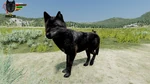 Limpy | WolfQuest Wiki | Fandom
