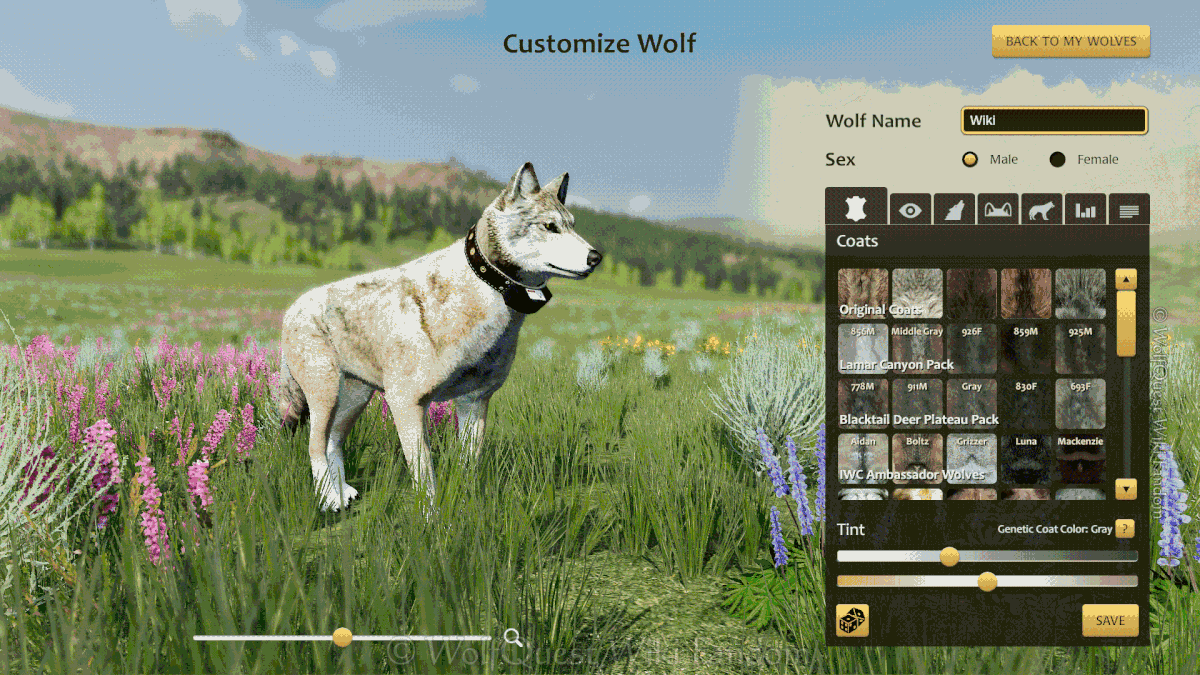 Customize Wolf WolfQuest Wiki Fandom