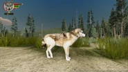 WQ-AE injuries rearleg-right (devblog).png (1.14 MB) Injured right hind leg