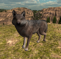 Screenshot of the first pelt texture.