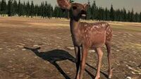 A teaser showcasing a fawn, coming to 2.7.X.