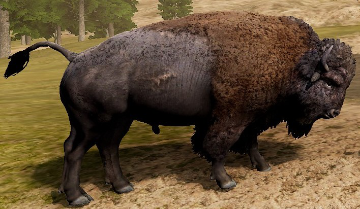 wolf attacking bison