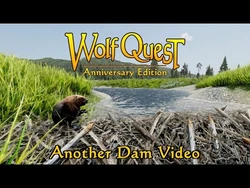 Another Dam Video posted 18-Mar-2021