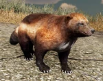 WQ-AE Wolverine-adult idle.png (483 KB) Idle