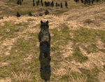 Sleep anim (2.7).gif (8.7 MB) Animated laying pose from the sleep transition.