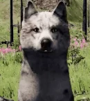 WQ-AE emote grin-front