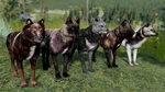 BuildingCharacterPack-BeauteousBlacksCoats-DLC