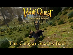 The Cougar Snacks Back posted 18-Jun-2020
