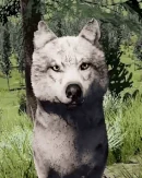 WQ-AE Emote growl-front