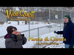 Howls & Growls: An Audio Outing posted 18-Nov-2022