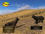 A player in the process of establishing a bond with a dispersal wolf.