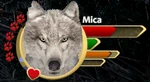 WQ-AE HUD-affinity-pups-low.png (97 KB) Low affinity below the marked (arrow) threshold