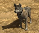 Emote-wag1f (2.7)