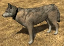 Emote-tailunder (2.7)