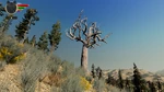 WQ-AE AM gnarled-tree-a
