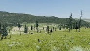 Seasons (3.96 MB) Learn about Seasons, Time, and Weather