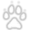 Base gray wolf