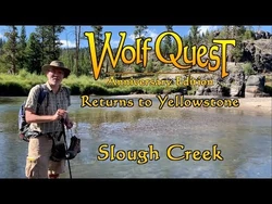 WolfQuest Returns to Yellowstone: Slough Creek posted 8-Nov-2019