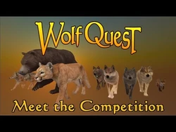 Meet the Competition posted 11-Apr-2019