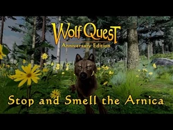 Stop and Smell the Arnica posted 7-May-2020