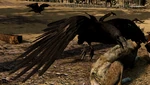 WQ-AE raven-flight-closeup.png (779 KB) Image