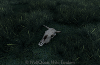 Cow skull (pre-1.1.0d)