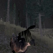 Wolverine Attacked on Back.png (4.98 MB) A wolverine being attacked by a player while on its back.