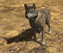 Emote-earsforwardf (2.7)