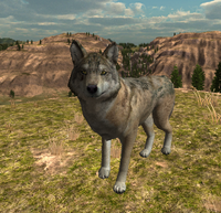 Screenshot of the second pelt texture.