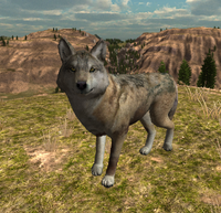 Screenshot of the eighth pelt texture, left side.