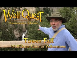 Tower Fall: WolfQuest Goes to Yellowstone posted 20-Feb-2025