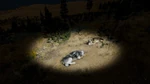 WQ Sleeping.png (2.32 MB) Mate sleeping alongside player