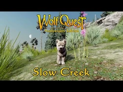 [wolfquest.org/bb/viewtopic.php?f=97&t=88713 Slow Creek] posted 29-Oct-2020